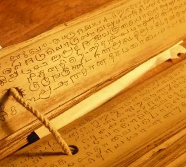 Naadi Palm Leaf